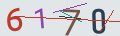 verifycode